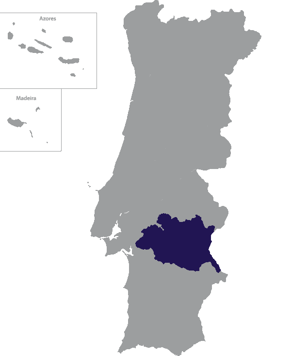 Landkaart Portugal grijs met district Évora donkerblauw op transparante achtergrond - 600 * 733 pixels